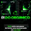 ikaro_900