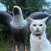 binkiestoe