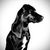 r_hall_27