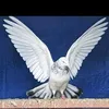 user8433422125146zeeshan