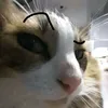 katie_cay8