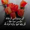 jsjjd232