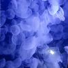 rin_05rin_97