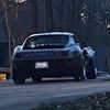 corvettebird