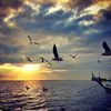 nicelif1235