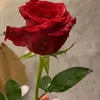 pearlofsumer
