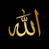 aboudy_u3