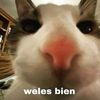 saraa.ioi