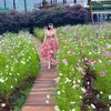 camtienluongthi95