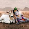 sujicooljigmail.com