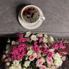 seh_194