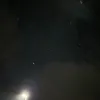 amoreal_