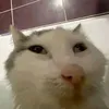 mrpouzoo