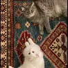 cuddless90