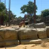 d1osmiooo