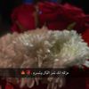noormohammed944