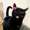 cattoc2021
