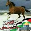 user14311425