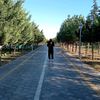 huseynov