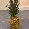 scottish_pineapple