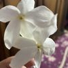 elhammohamed144