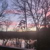 elisha_lee_