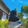 dhnstry_