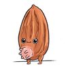 almond___milks