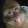 eeelihan