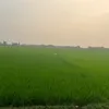 tuan0608922