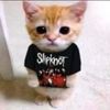 kitten_inna_slipknot_tee