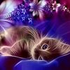 babykitty626