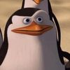 penguinbrucelee