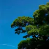 naywin0875