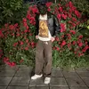 kostas_topas