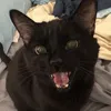4hiding