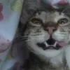 do_not_swallow