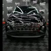 nicusorpetre6