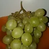 bartek087