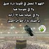 user6502618596514