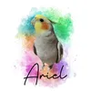 Ariel Calopsita
