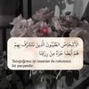 mnool_51