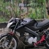 aryass_27