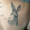varilrussell55