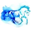 neon.equine