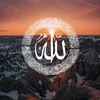 user6311799730000