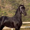 livia0879