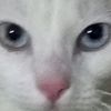 kevin_1idk