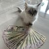 dealswithcoolguy