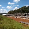 marcoveio7